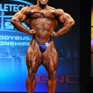 2013 Bodybuilding Images