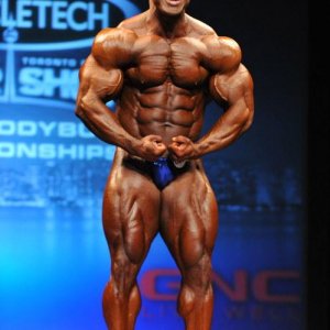 2013 Bodybuilding Images