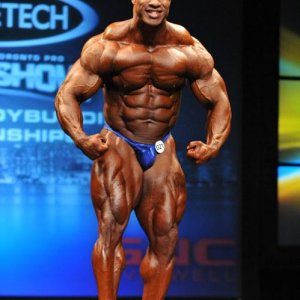 2013 Bodybuilding Images