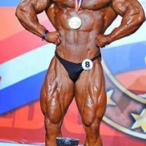 2013 Bodybuilding Images