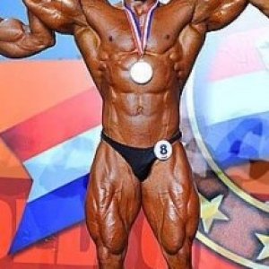 2013 Bodybuilding Images