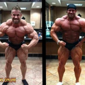 2013 Bodybuilding Images