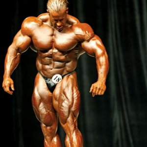 2013 Bodybuilding Images