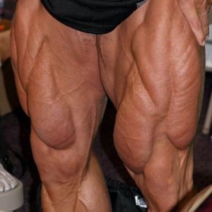 2013 Bodybuilding Images