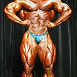 2013 Bodybuilding Images