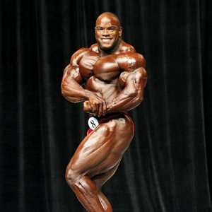 2013 Bodybuilding Images