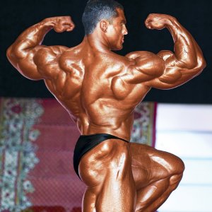 2013 Bodybuilding Images