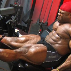 2013 Bodybuilding Images