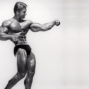 2013 Bodybuilding Images