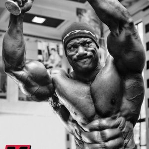 2013 Bodybuilding Images