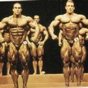 2013 Bodybuilding Images