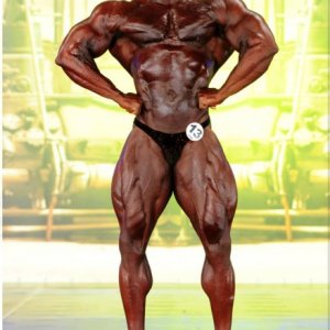 2013 Bodybuilding Images