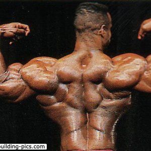 2013 Bodybuilding Images