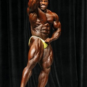 2013 Bodybuilding Images