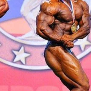 2013 Bodybuilding Images