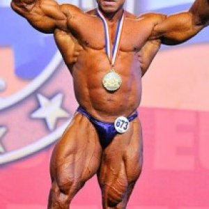 2013 Bodybuilding Images