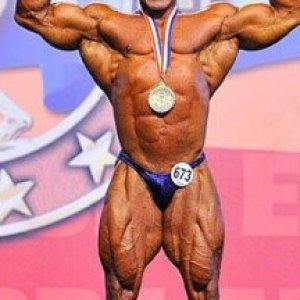 2013 Bodybuilding Images