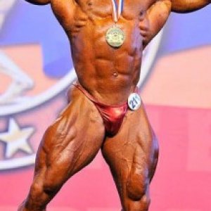 2013 Bodybuilding Images