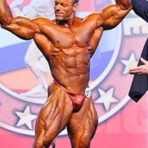 2013 Bodybuilding Images