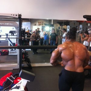 2013 Bodybuilding Images