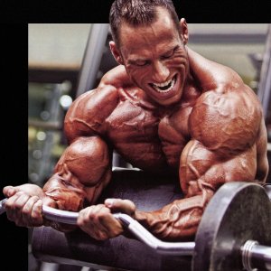 2013 Bodybuilding Images