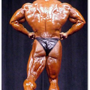 2013 Bodybuilding Images