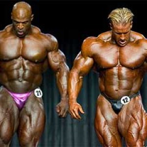 2013 Bodybuilding Images