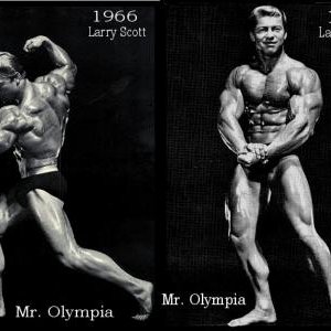 2013 Bodybuilding Images