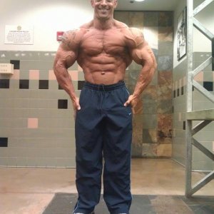 2013 Bodybuilding Images