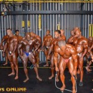 2013 Bodybuilding Images