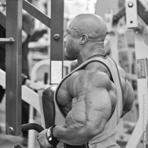 2013 Bodybuilding Images