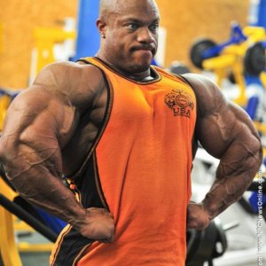 2013 Bodybuilding Images