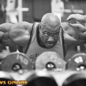 2013 Bodybuilding Images