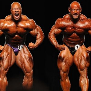 2013 Bodybuilding Images