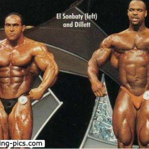 2013 Bodybuilding Images