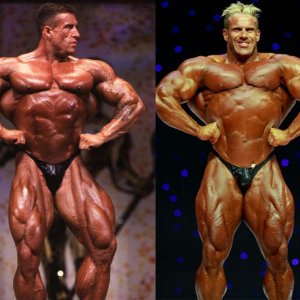 2013 Bodybuilding Images