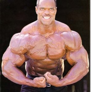 2013 Bodybuilding Images