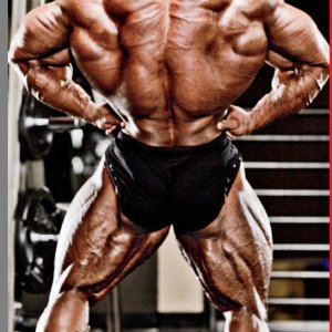 2013 Bodybuilding Images