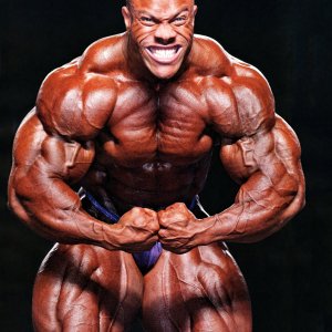 2013 Bodybuilding Images