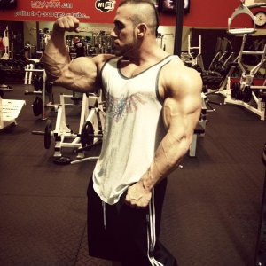 2013 Bodybuilding Images