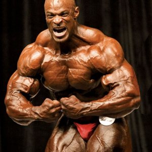 2013 Bodybuilding Images