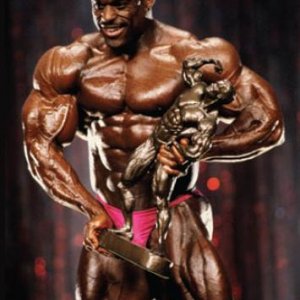 2013 Bodybuilding Images