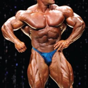 2013 Bodybuilding Images