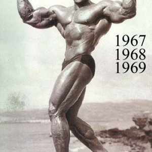 2013 Bodybuilding Images