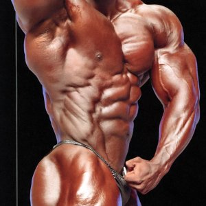 2013 Bodybuilding Images