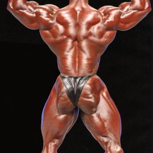 2013 Bodybuilding Images