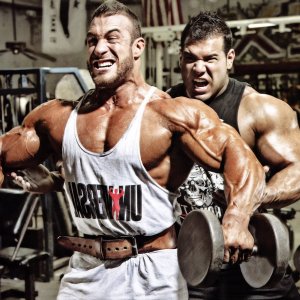 2013 Bodybuilding Images