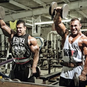 2013 Bodybuilding Images