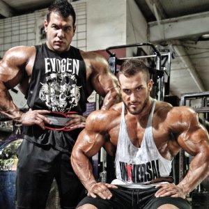 2013 Bodybuilding Images