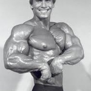 2013 Bodybuilding Images